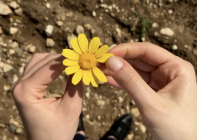 The Three Flavors of a Good Life: Happy, Meaningful, or Interesting